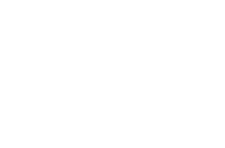Decorative floral illustration